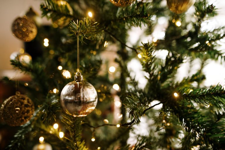 To Fun-filled Xmas Holiday Spots in the USA​​